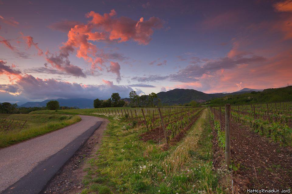 Wine & Lake In Franciacorta Passirano Exterior foto